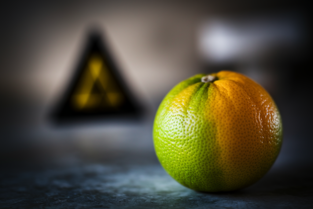 bergamote-gros-plan-texture-verte-fond-sombre