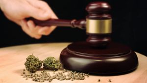 Votre CBD est-il vraiment légal ? Ce qu'il faut savoir